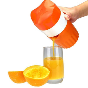 Fruit Twister Juicer